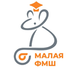 Малая ФМШ
